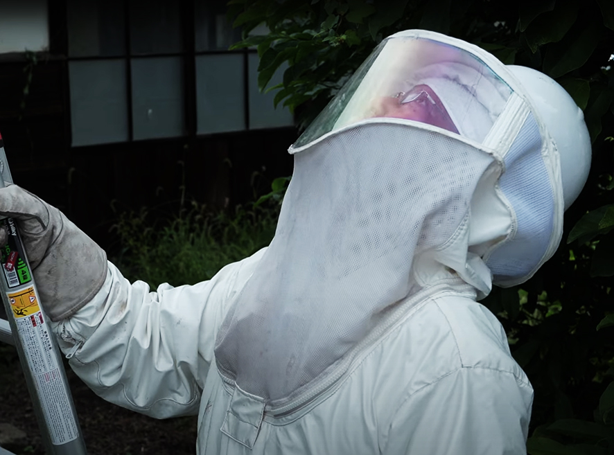 樵屋の蜂駆除の様子